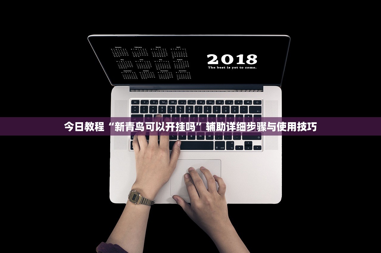 今日教程“新青鸟可以开挂吗	”辅助详细步骤与使用技巧