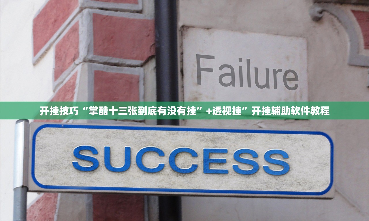 开挂技巧“掌酷十三张到底有没有挂”+透视挂	”开挂辅助软件教程
