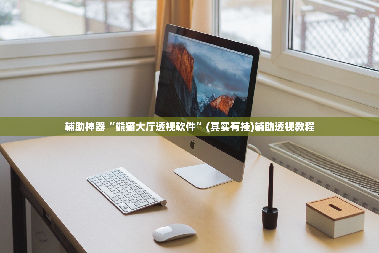 辅助神器“熊猫大厅透视软件”(其实有挂)辅助透视教程