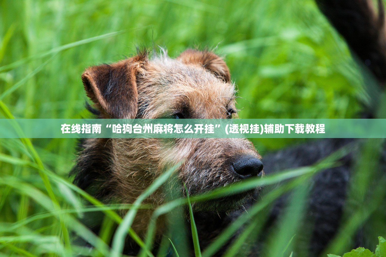 在线指南“哈狗台州麻将怎么开挂	”(透视挂)辅助下载教程