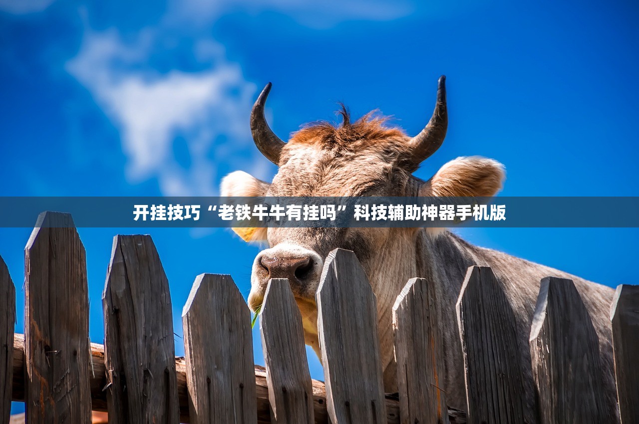 开挂技巧“老铁牛牛有挂吗	”科技辅助神器手机版