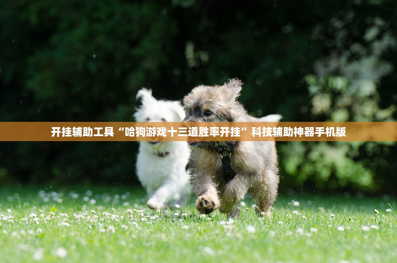 开挂辅助工具“哈狗游戏十三道胜率开挂”科技辅助神器手机版