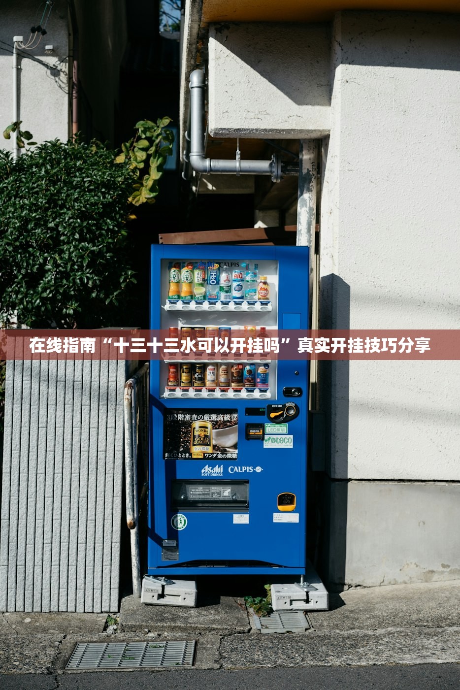 在线指南“十三十三水可以开挂吗	”真实开挂技巧分享