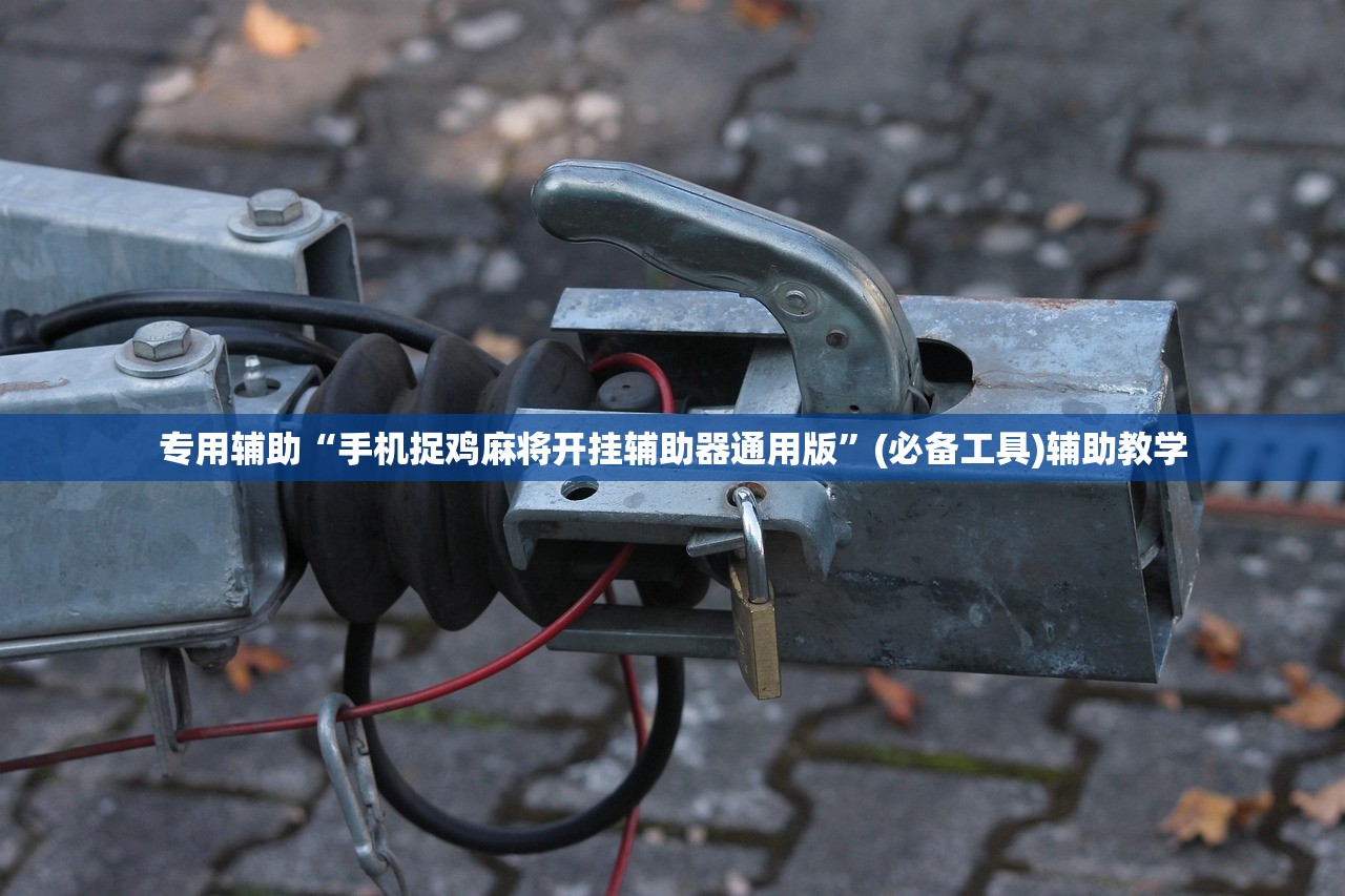 专用辅助“手机捉鸡麻将开挂辅助器通用版”(必备工具)辅助教学