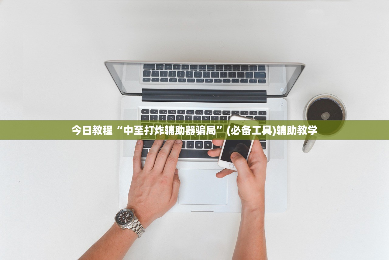 今日教程“中至打炸辅助器骗局	”(必备工具)辅助教学