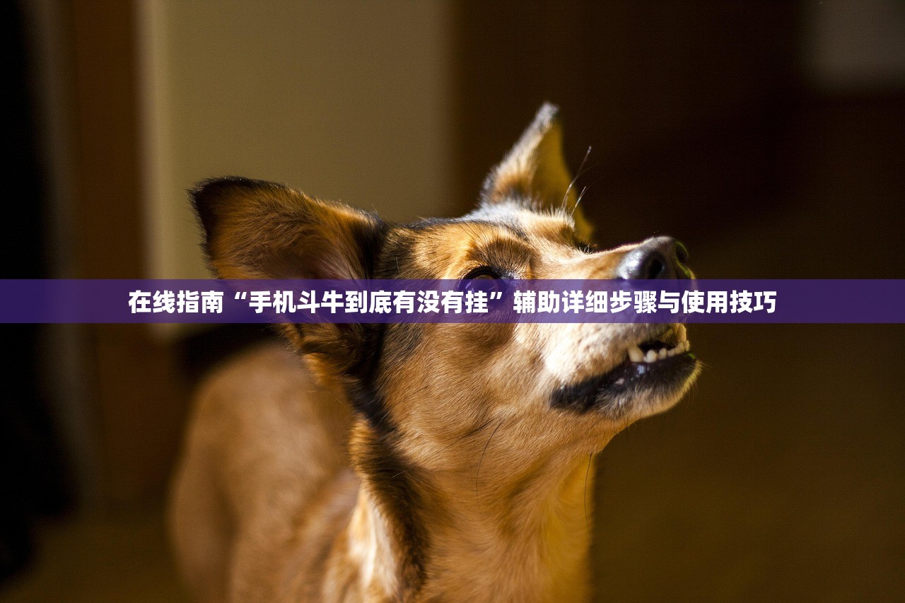 在线指南“手机斗牛到底有没有挂	”辅助详细步骤与使用技巧