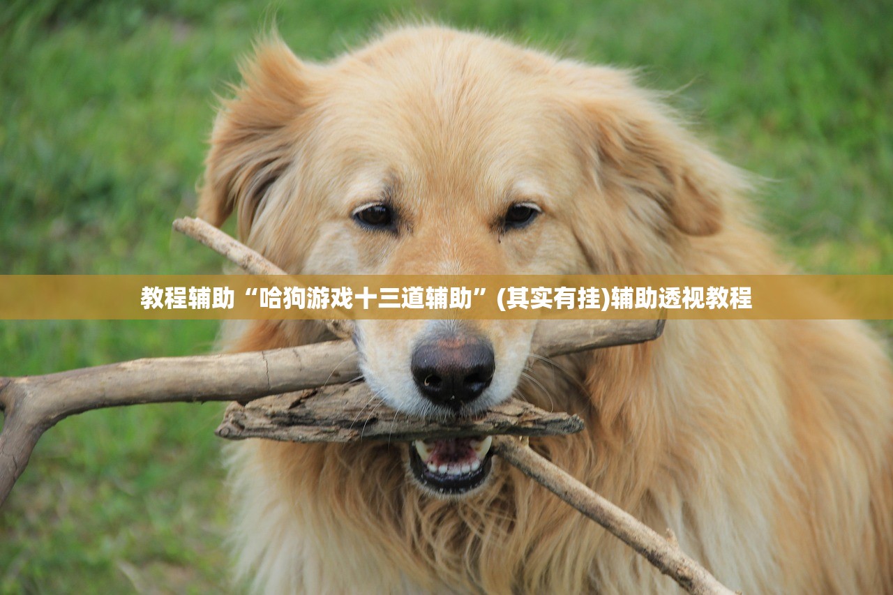 教程辅助“哈狗游戏十三道辅助	”(其实有挂)辅助透视教程