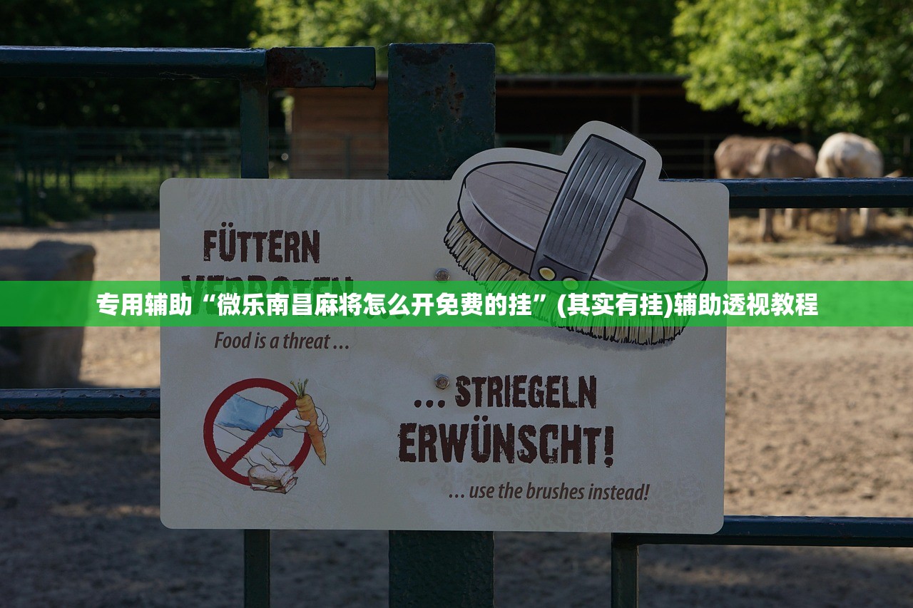 专用辅助“微乐南昌麻将怎么开免费的挂”(其实有挂)辅助透视教程
