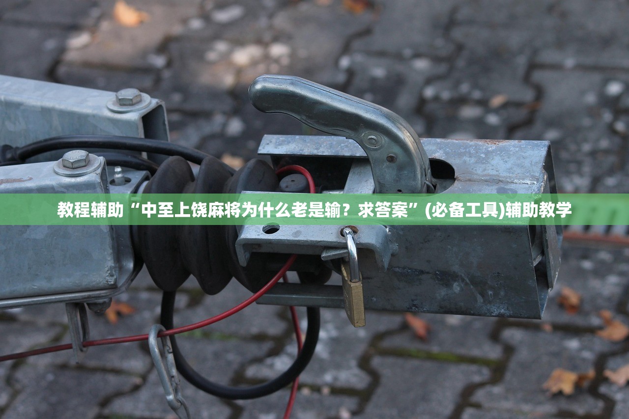 教程辅助“中至上饶麻将为什么老是输？求答案”(必备工具)辅助教学