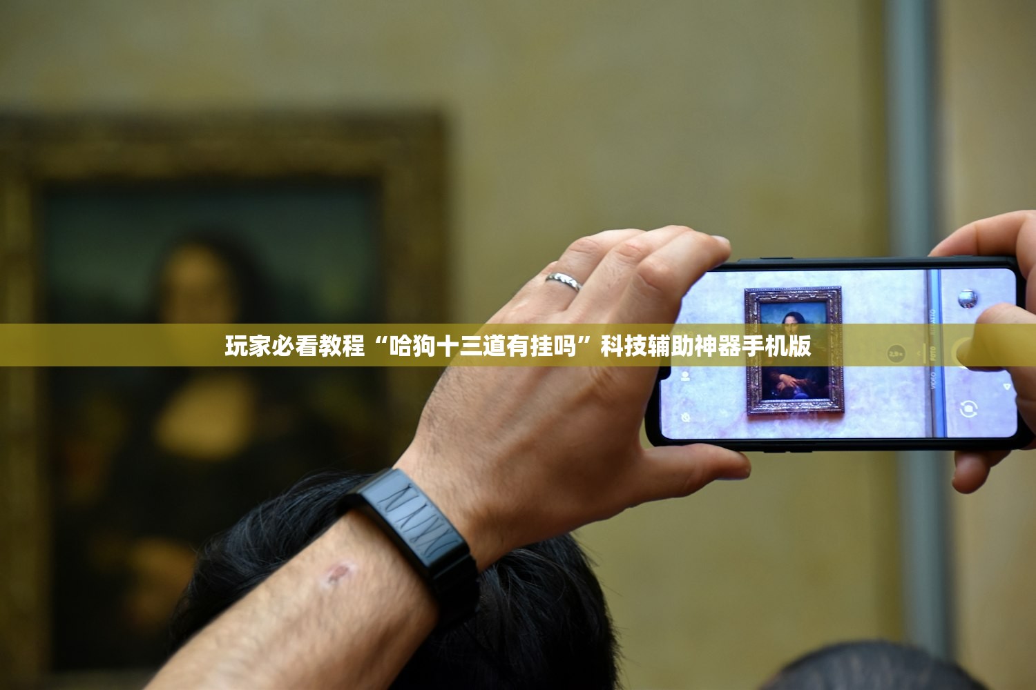 玩家必看教程“哈狗十三道有挂吗”科技辅助神器手机版