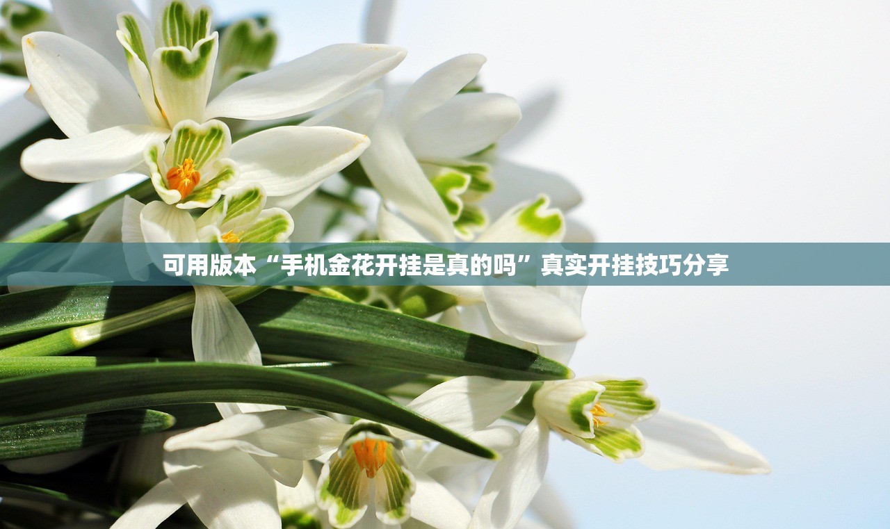 可用版本“手机金花开挂是真的吗”真实开挂技巧分享