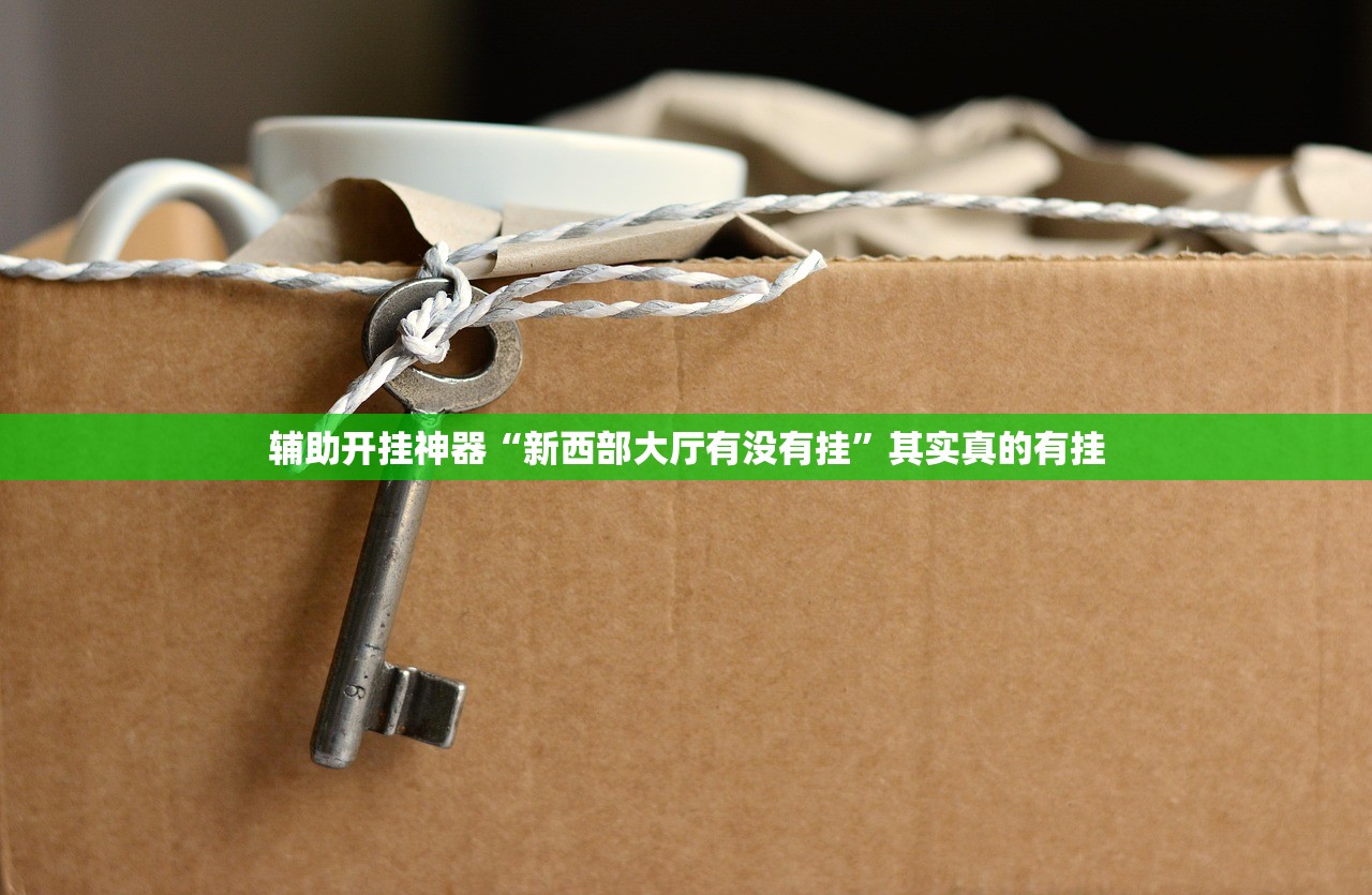 辅助开挂神器“新西部大厅有没有挂”其实真的有挂