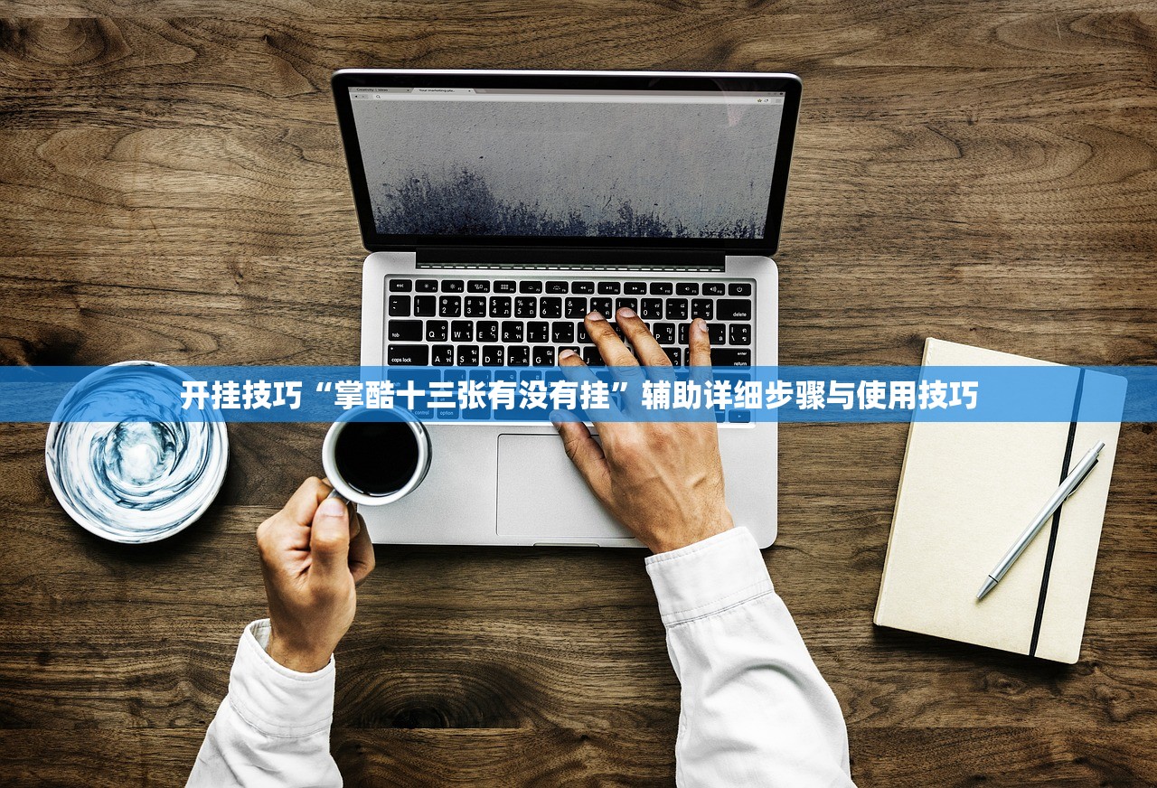 开挂技巧“掌酷十三张有没有挂”辅助详细步骤与使用技巧