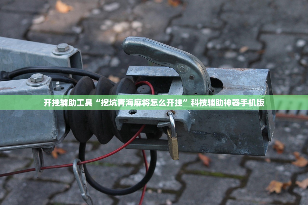 开挂辅助工具“挖坑青海麻将怎么开挂”科技辅助神器手机版
